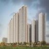 Imagen de Birla Ojasvi New Launch
